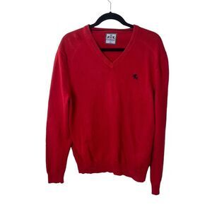 Express V-Neck Sweater Sz L